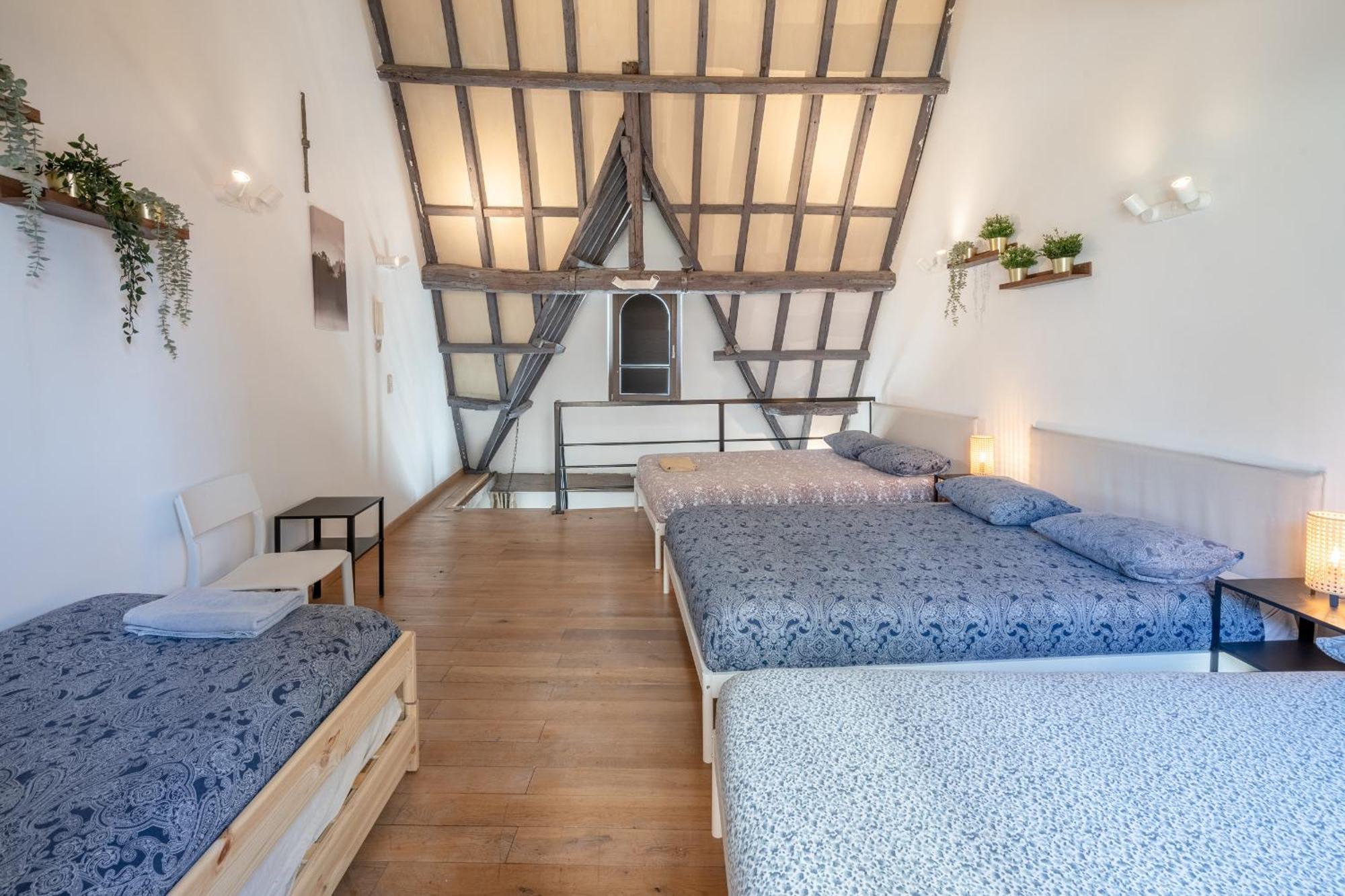 דירות Tempel Triplex & Duplex At Historic Heart Of אנטוורפן מראה חיצוני תמונה